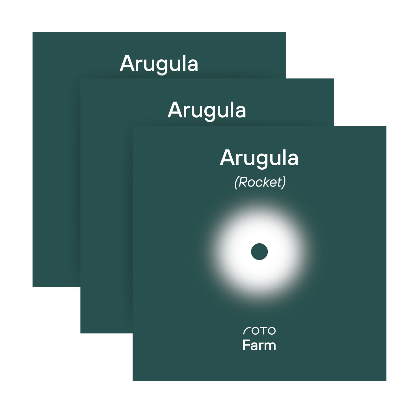 Arugula 3-Pack for Roto Farm