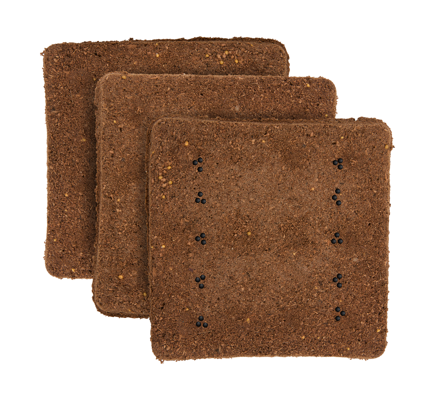 Arugula 3-Pack for Roto Farm