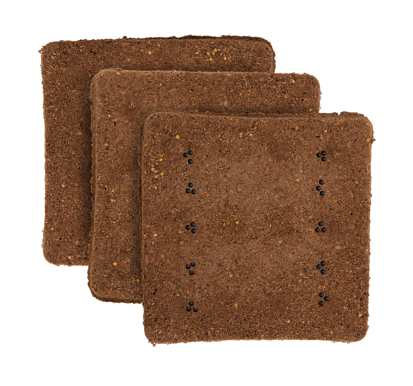 Lettuce 3-Pack for Roto Farm