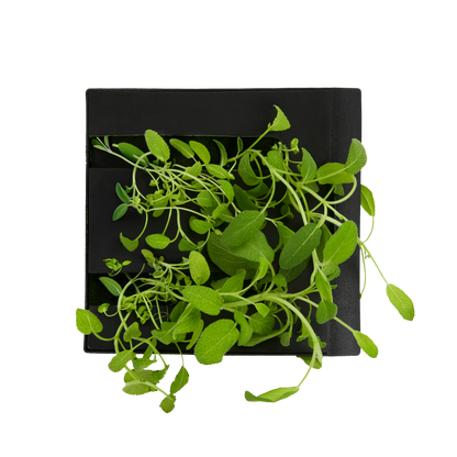 Sage 3-Pack for Roto Farm