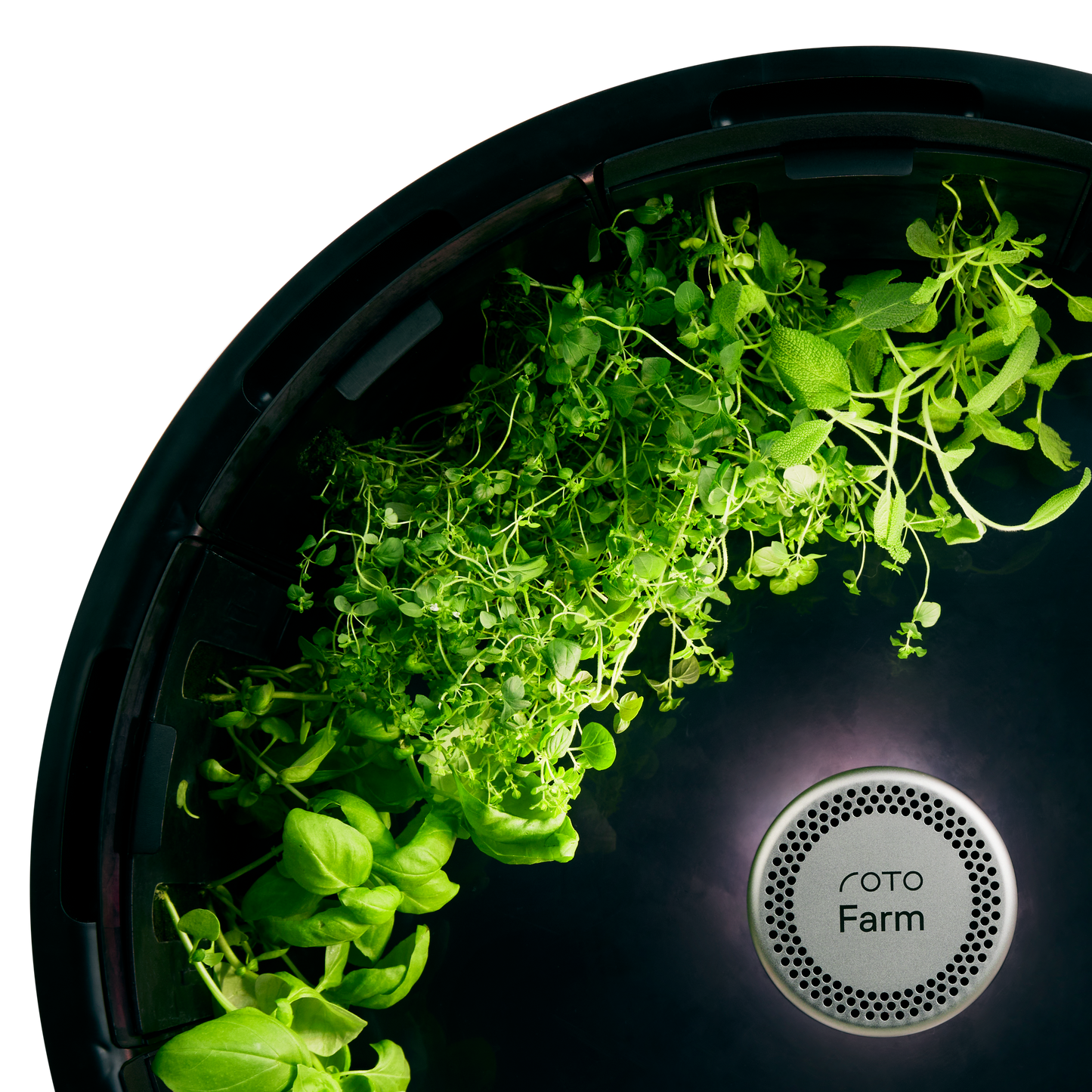 Spearmint 3-Pack for Roto Farm