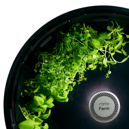 Spearmint 3-Pack for Roto Farm