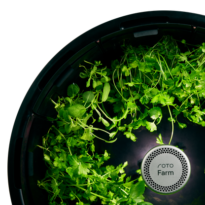 Sage 3-Pack for Roto Farm