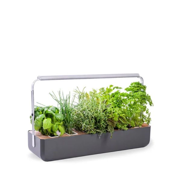 GOURMET INDOOR 1x (Veritable)*