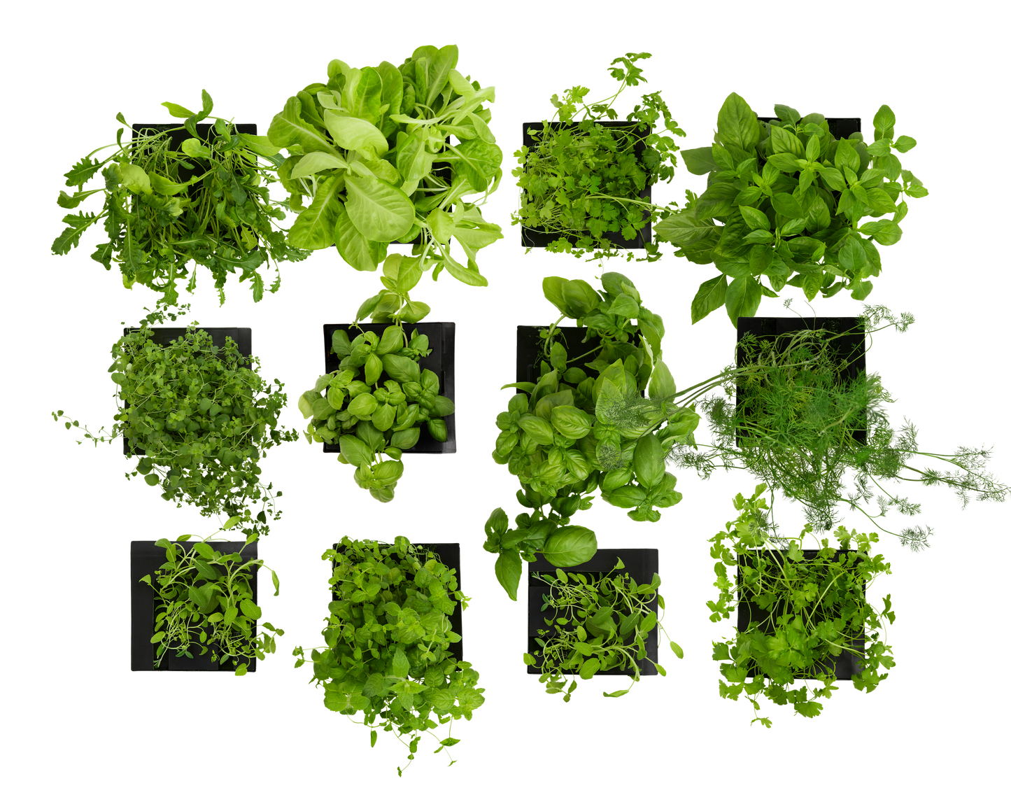 Launch Box Set 12-Pack for Roto Farm