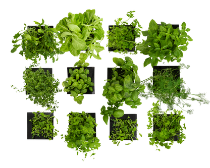 Launch Box Set 12-Pack for Roto Farm