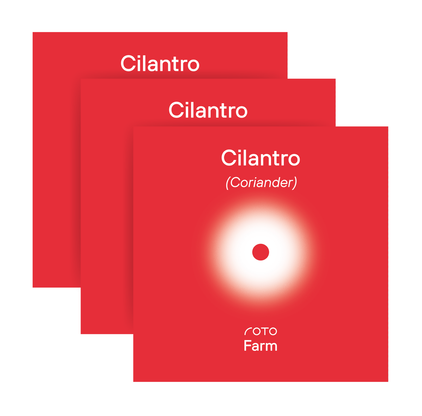 Cilantro (Coriander) 3-Pack for Roto Farm