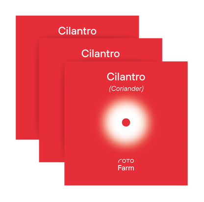 Cilantro (Coriander) 3-Pack for Roto Farm