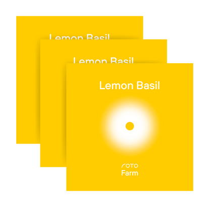 Lemon Basil 3-Pack for Roto Farm