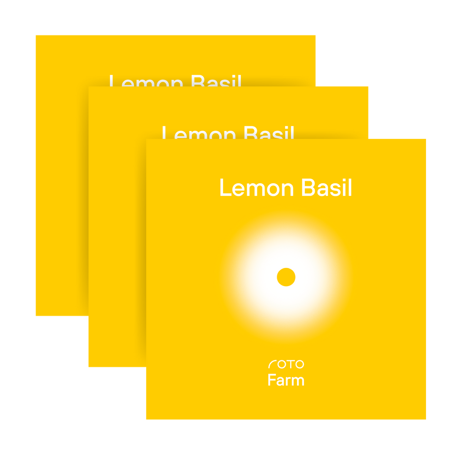 Lemon Basil 3-Pack for Roto Farm