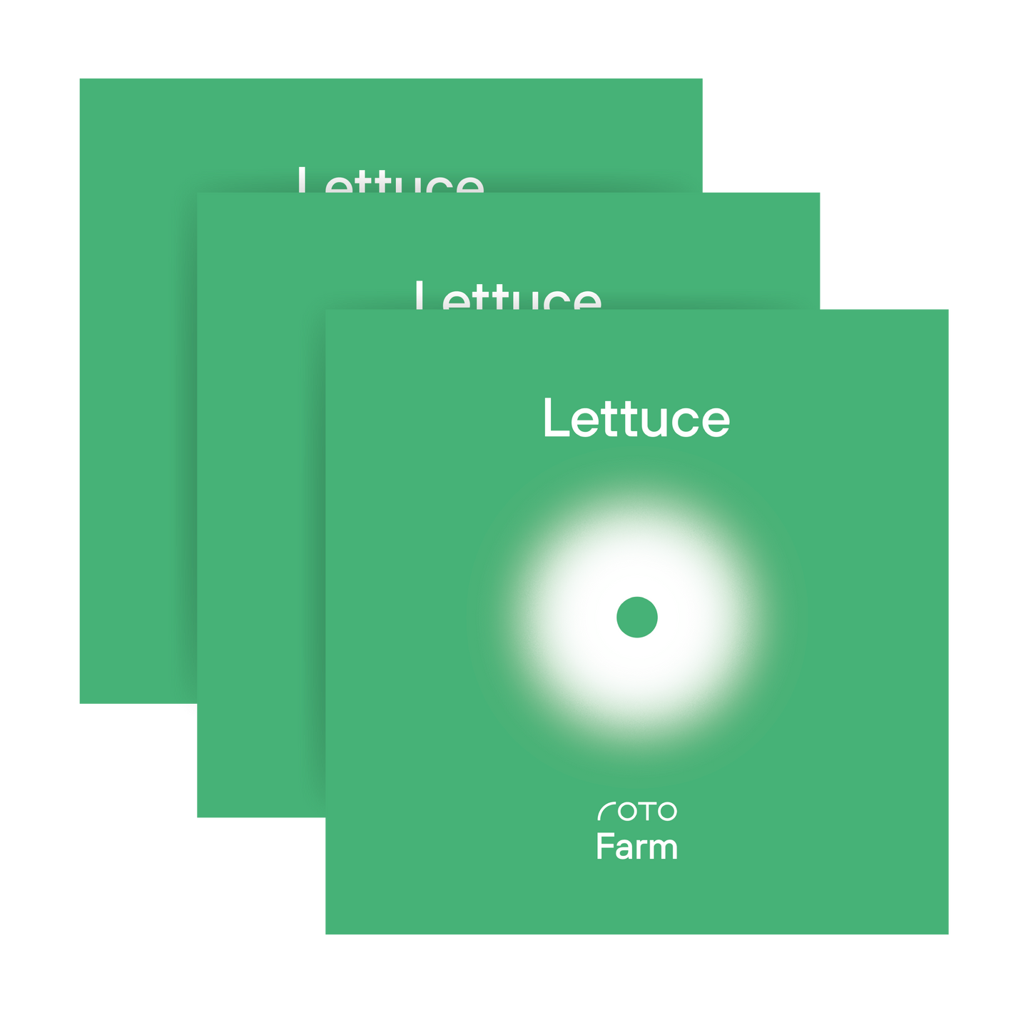 Lettuce 3-Pack for Roto Farm