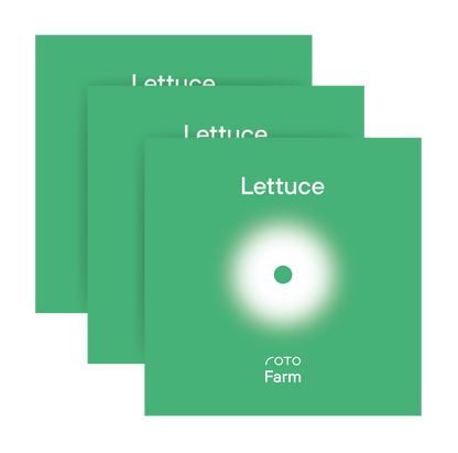Lettuce 3-Pack for Roto Farm